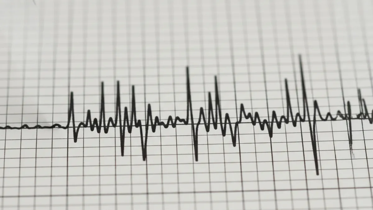 Temblor se percibe en la zona central del país — Pudahuel