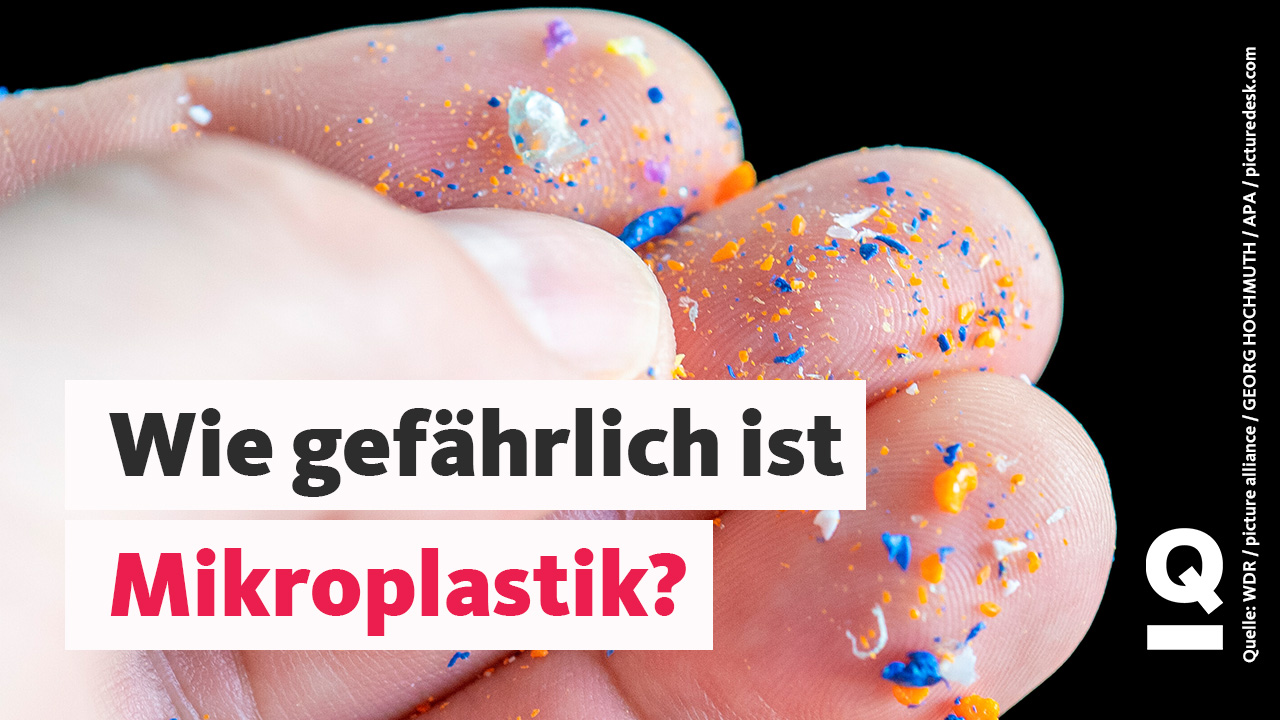 Wie gefährlich ist Mikroplastik? Die wichtigsten Fakten - quarks.de