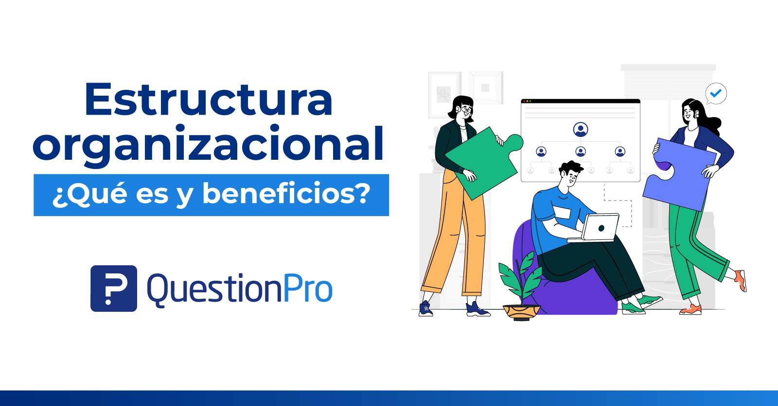 Estructura organizacional: Definición, beneficios y tipos
