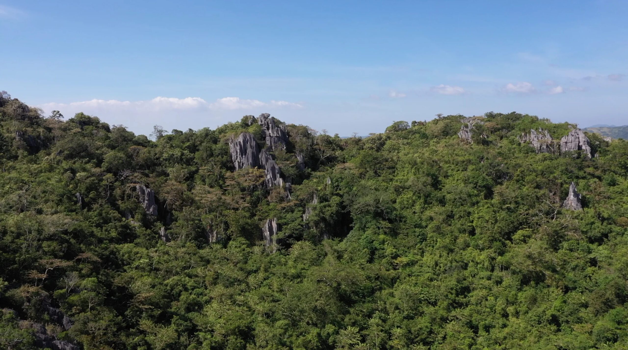 Relocate wind turbines, Antipolo mayor urges DENR, energy firm