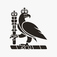 Board Certified Cosmetic Surgeons — Royal College of Surgeons