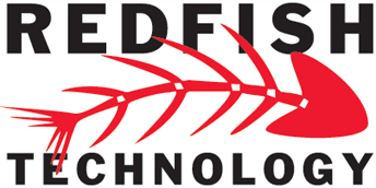 The Best Data Science Recruiting Agencies in 2026 - Redfish Technology