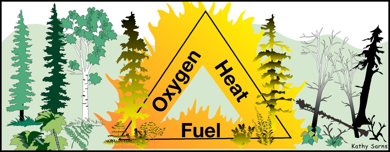 Wildfire 101: The Fire Triangle and The Fire Tetrahedron - RedZone