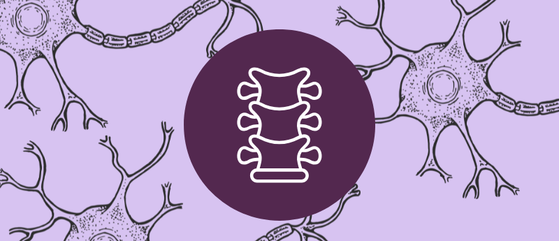 3D-Printed Implant Promotes Neural Repair - RegMedNet