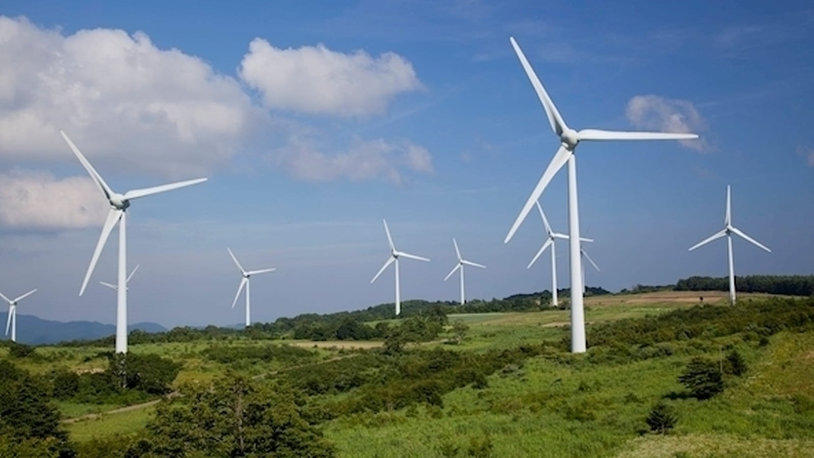 Renewables provided over half of electricity in February
