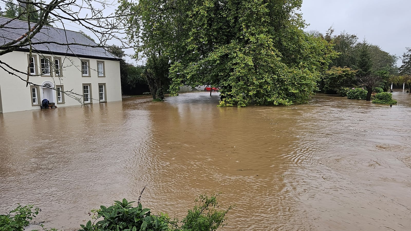 Human induced climate change detected in Irish weather records
