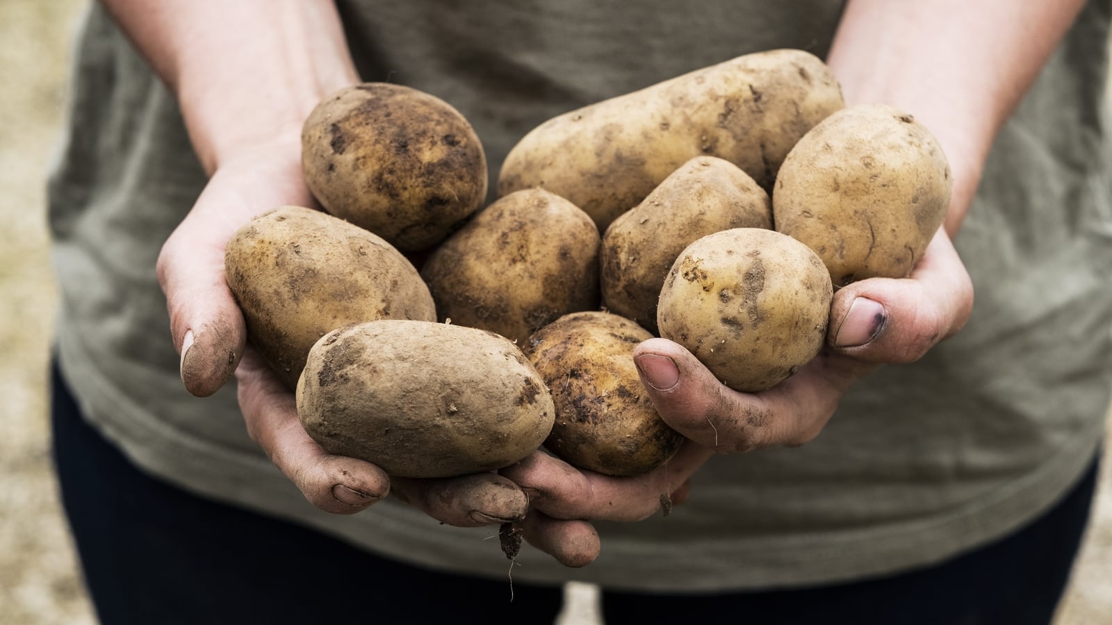 72 words for potato: the rich history of Irish names for food