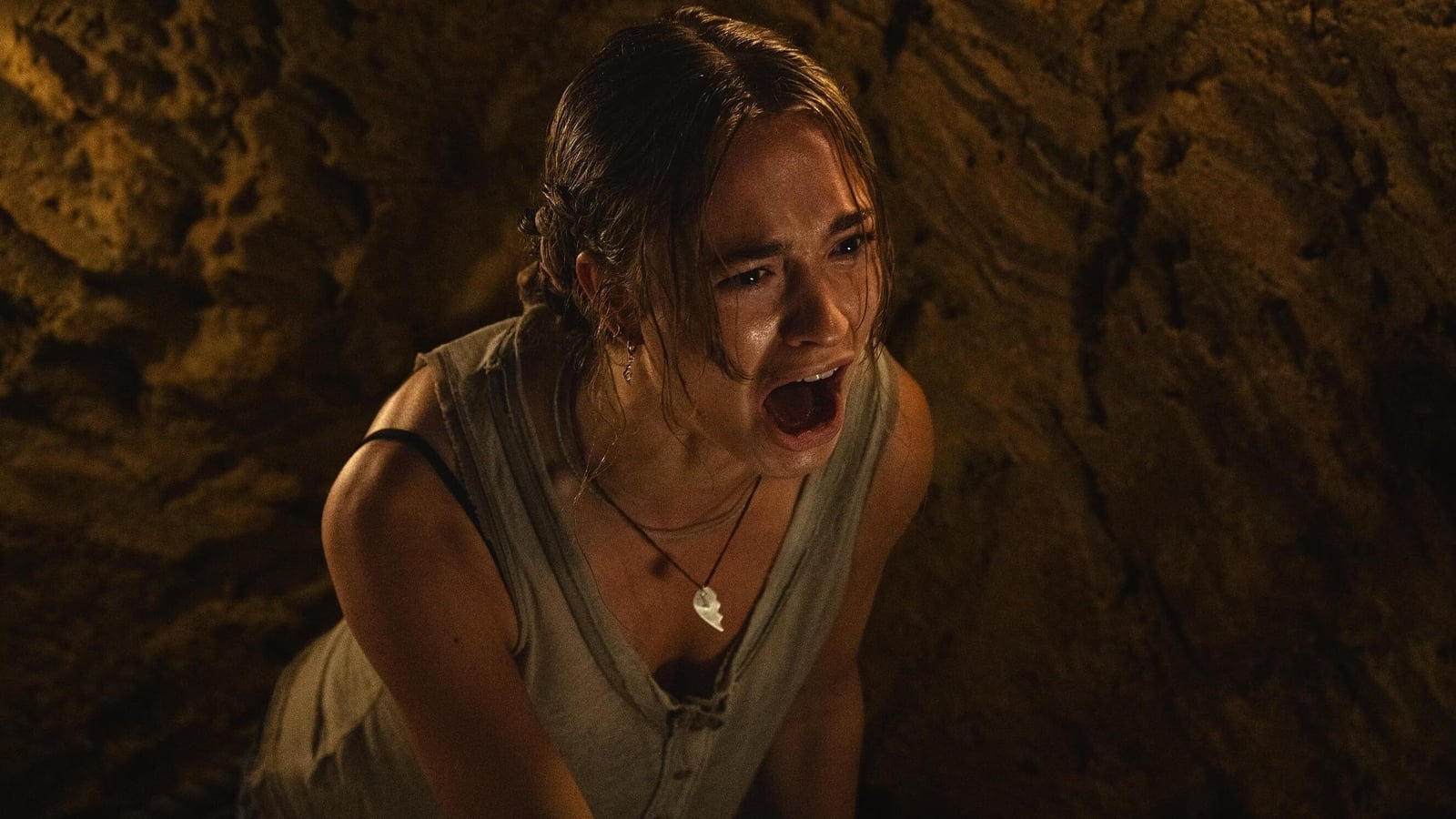 Primate movie review : Movie Review: Primate