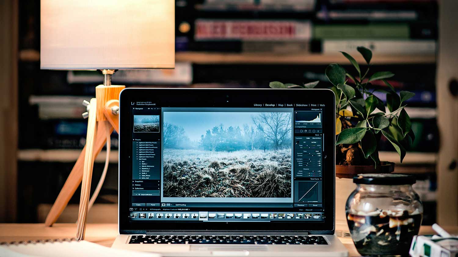 The Beginner’s Guide to Developing a Website