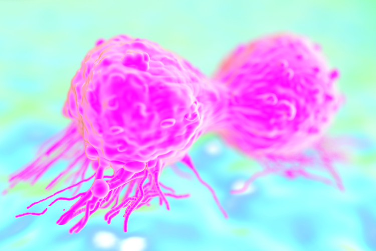 Cancer research in crisis: Are the drugs we count on based on bad science? - Salon.com