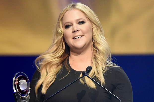 Amy Schumer’s chat with Ashley Madison CEO: Encourage men to cheat when women gain weight, then profit - Salon.com