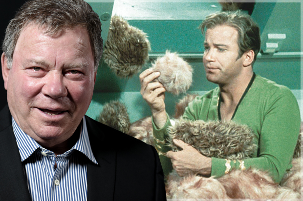 Forever Captain Kirk: William Shatner opens up about "fandom frenzy" and 50 years of "Star Trek" - Salon.com
