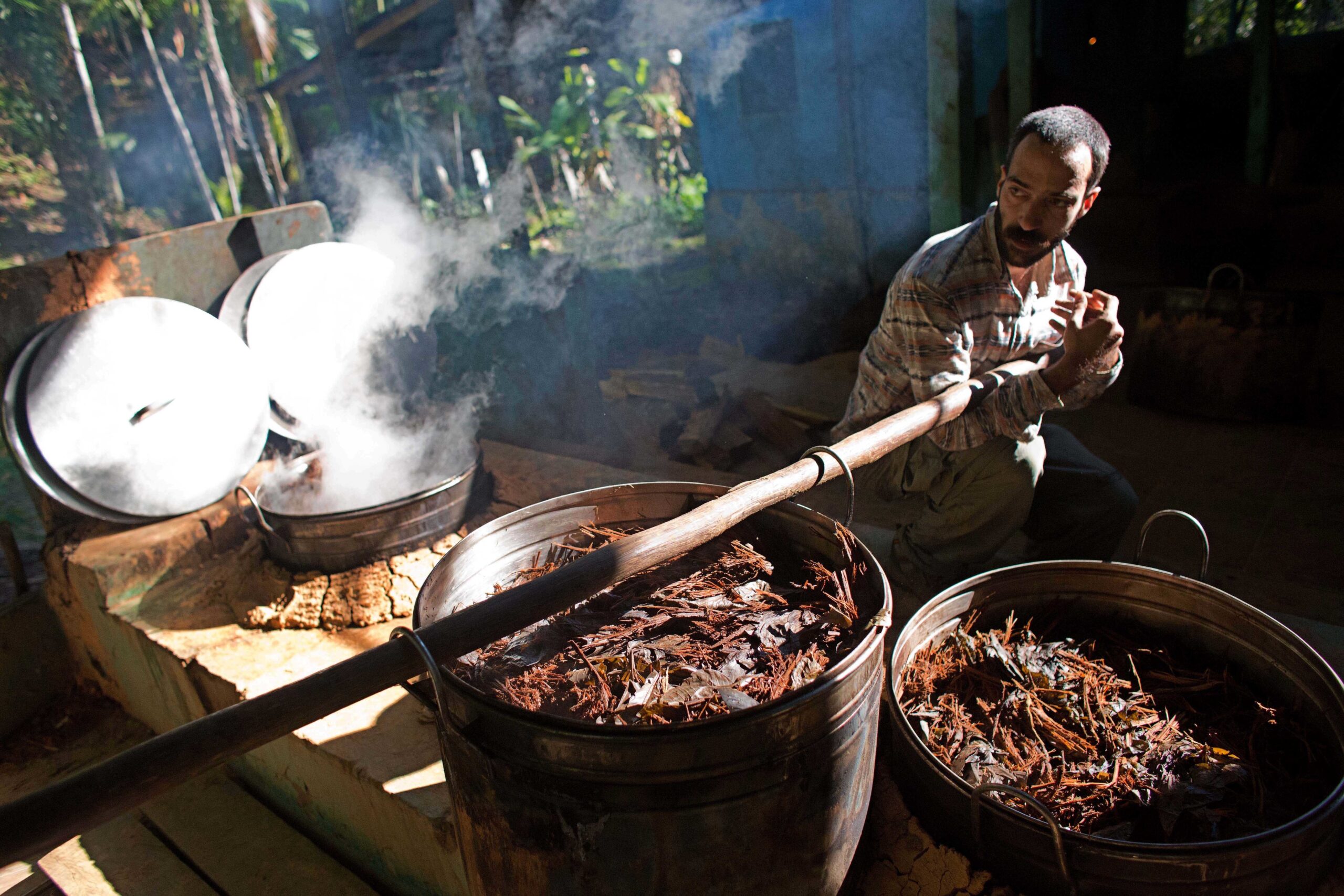 Brazil is giving prisoners ayahuasca as part of their rehab - Salon.com
