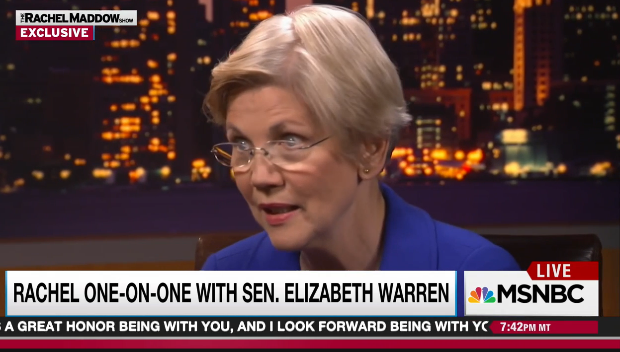 WATCH: Elizabeth Warren rallies voters, says "get out there and volunteer" to defeat Donald Trump - Salon.com