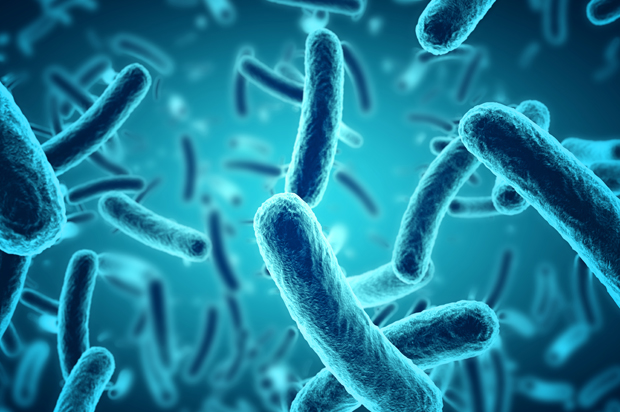 Are viruses the best weapon for fighting superbugs? - Salon.com
