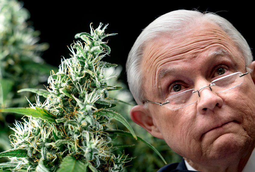 Cannabis criminalization today worse than 1930s "reefer madness" - Salon.com