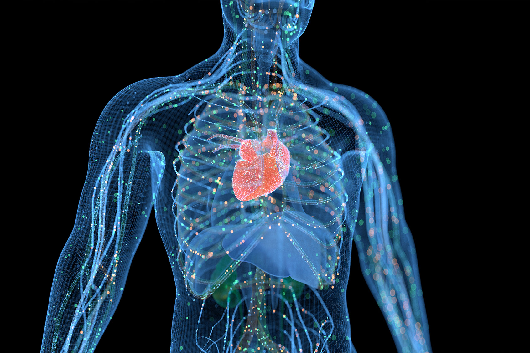 What does "heart rate variability" mean anyway? - Salon.com