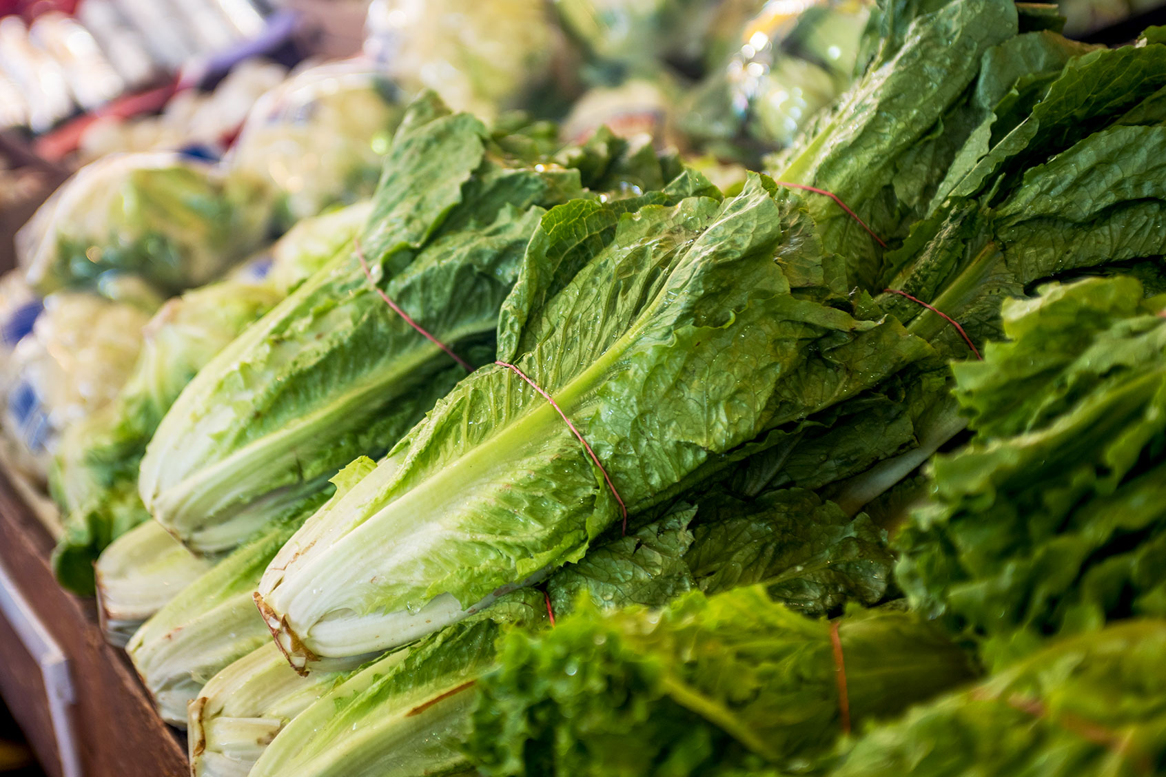 What is listeria? A microbiologist explains the bacterium behind deadly food poisoning outbreak - Salon.com