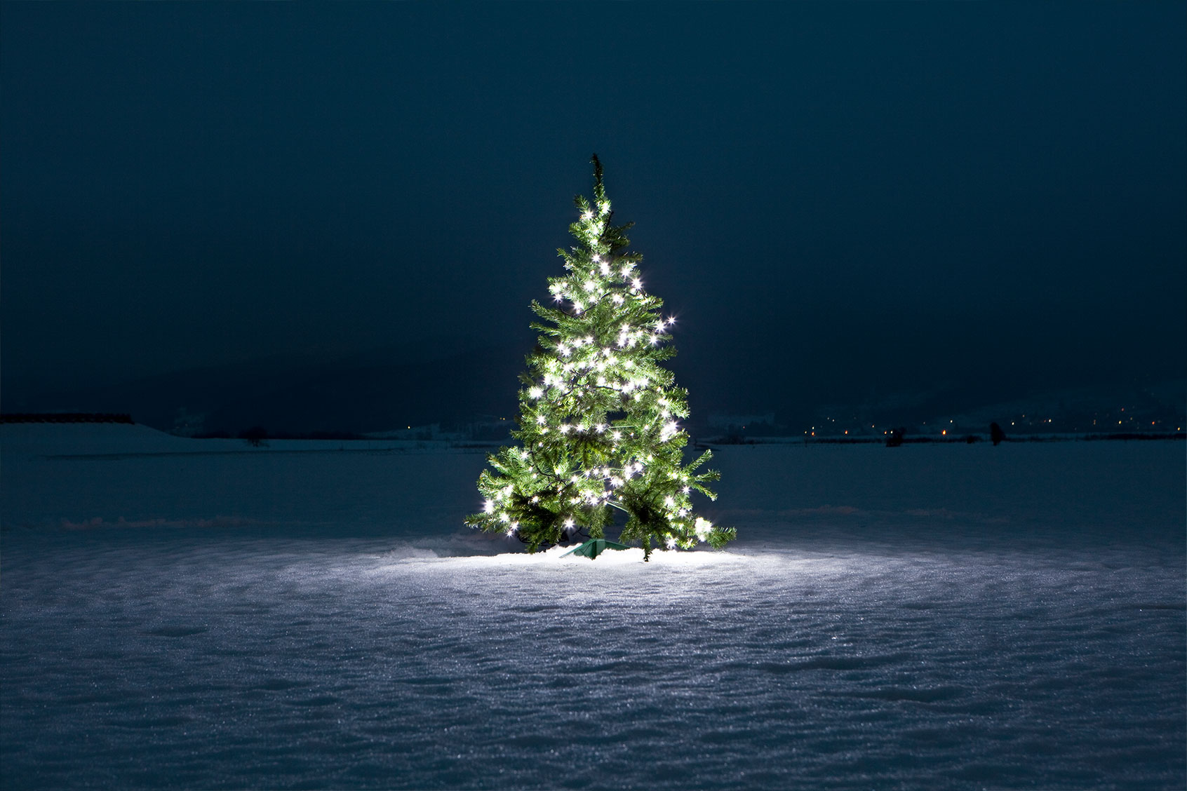 Christmas Tree Archives - Salon.com