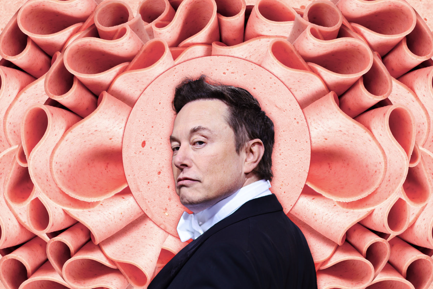 Elon banned me for calling him a “bologna face.” I’m a history professor with 139 followers - Salon.com