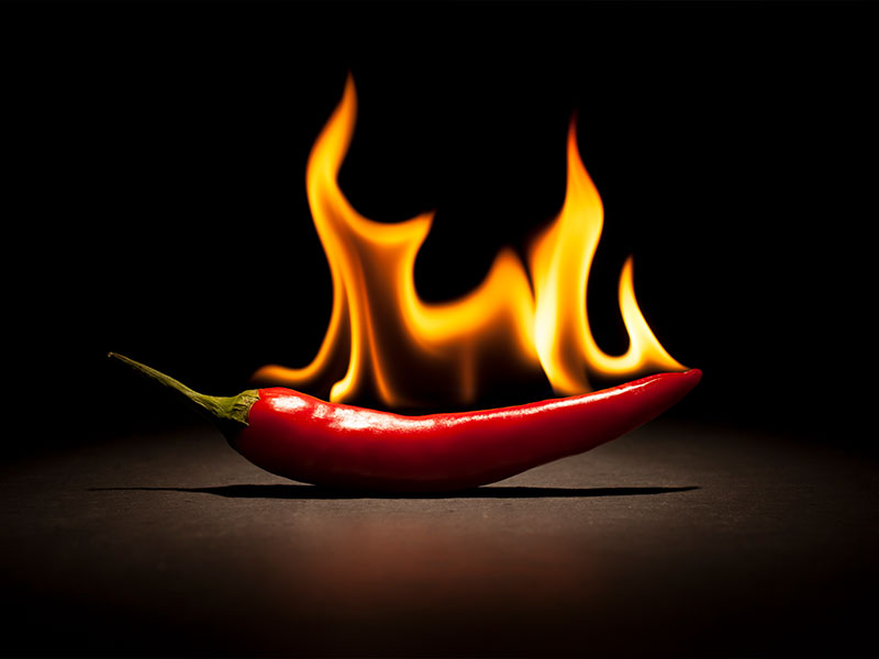 Chili Peppers Archives - Salon.com