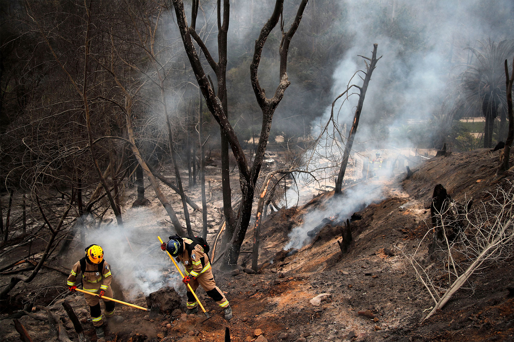 Extinction or adaptation? The plague of wildfires in Chile is a warning for our future - Salon.com