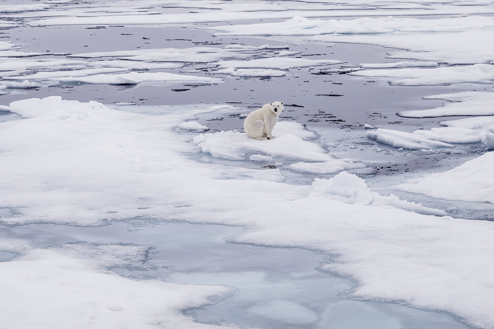 Republicans and climate change - Salon.com
