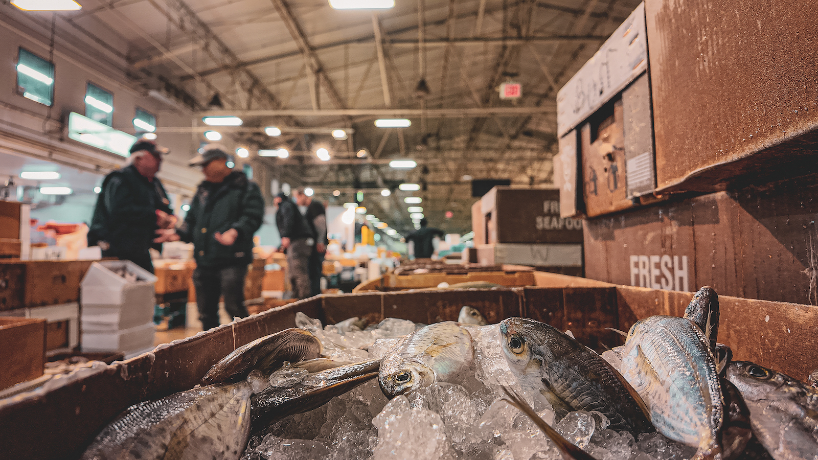 Trump's tariffs could gut NYC's seafood supply - Salon.com