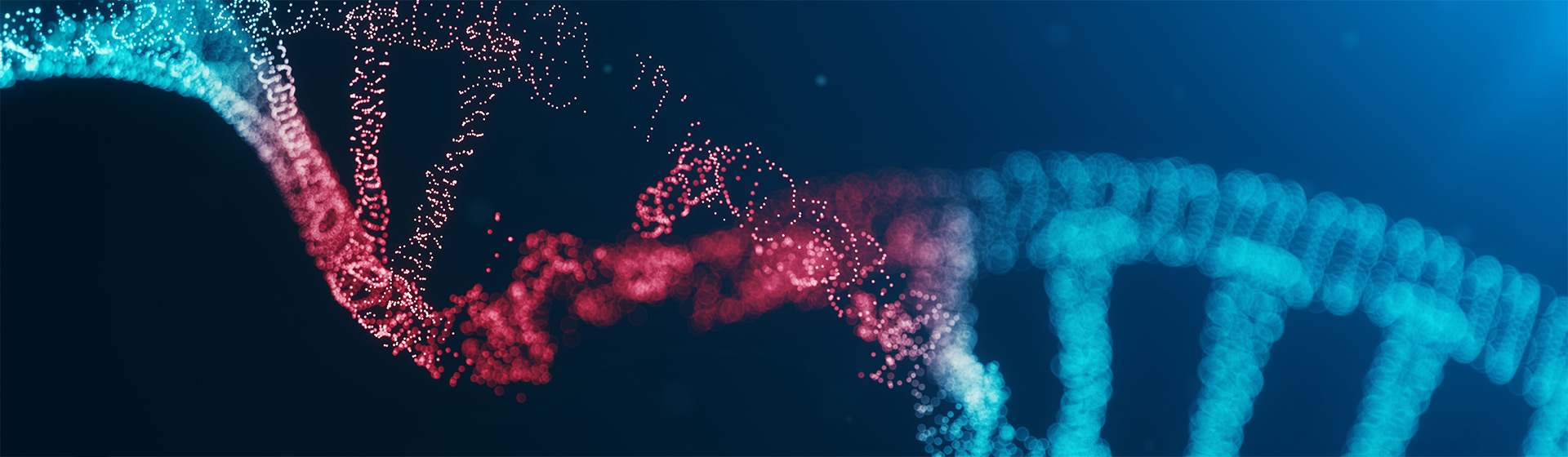 DNA damage can last unrepaired for years, changing our view of mutations
