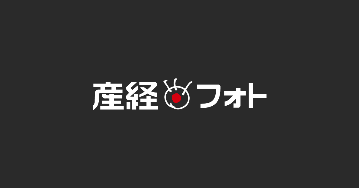 巡航ミサイル導入検討　政府、北朝鮮脅威に対処 - サッと見ニュース - 産経フォト