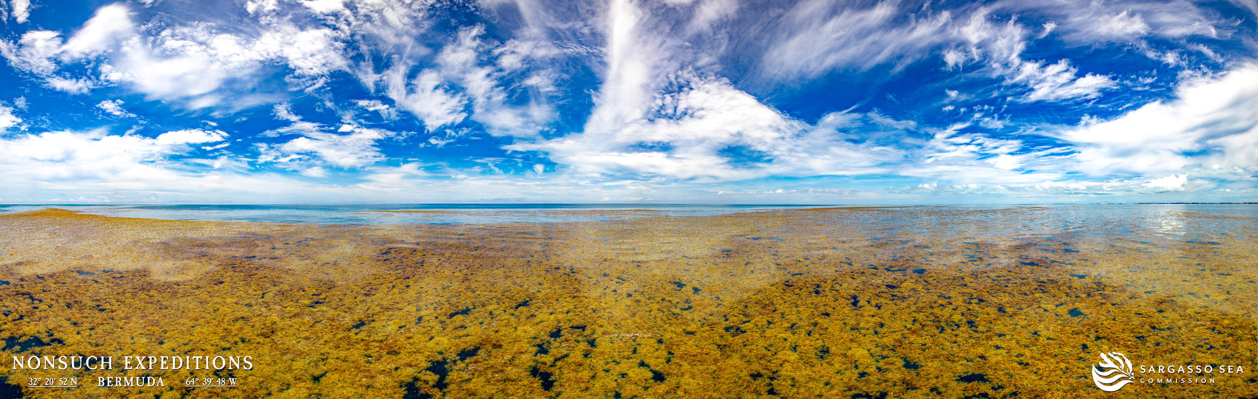 Importance of the Sargasso Sea - Sargasso Sea Commission