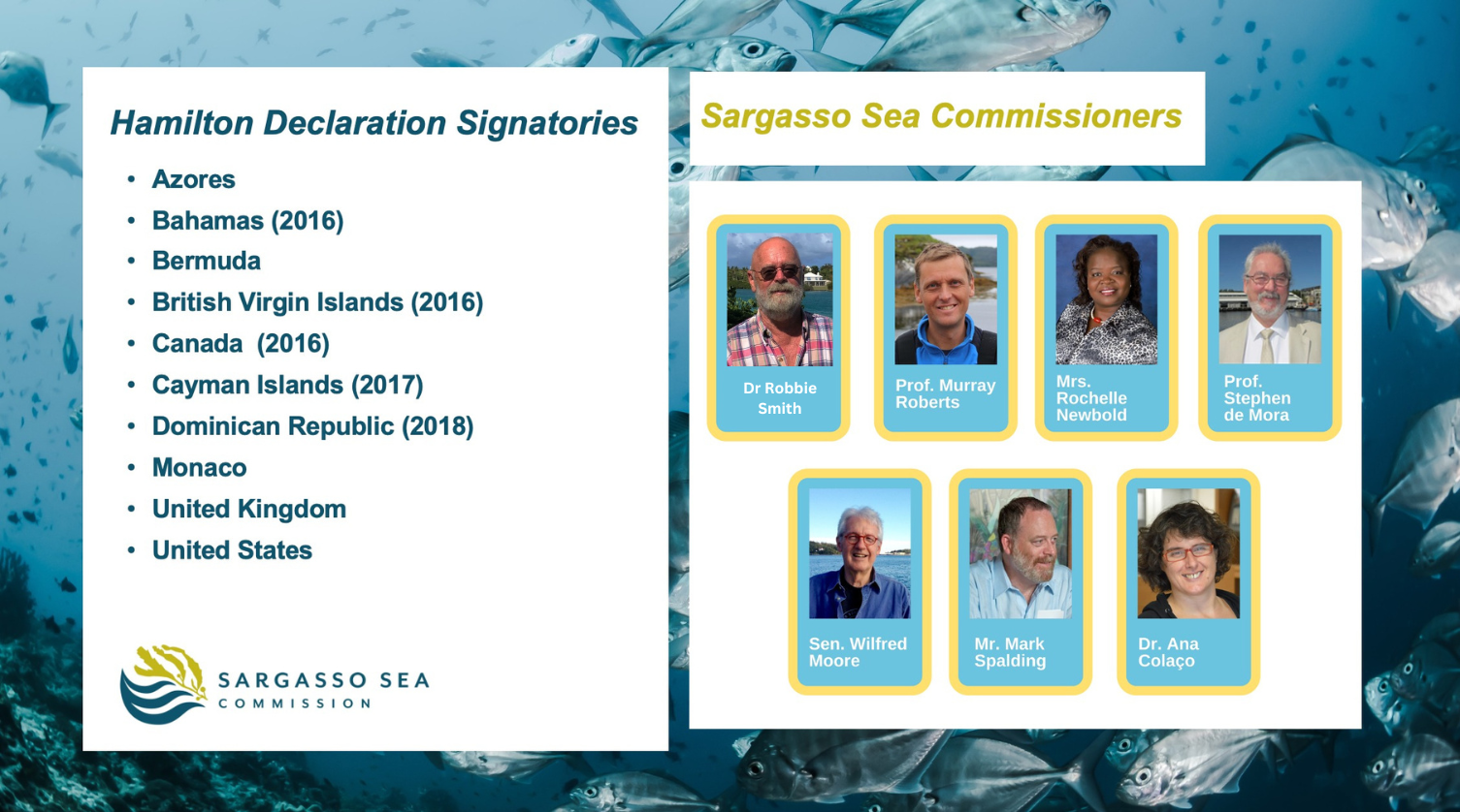 Structure of the Commission - Sargasso Sea Commission