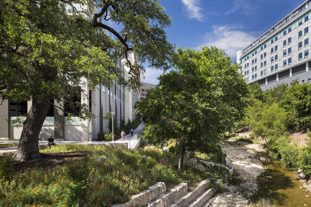 Dell Medical District Landscape – Sasaki