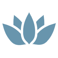 Satori_capital User cover