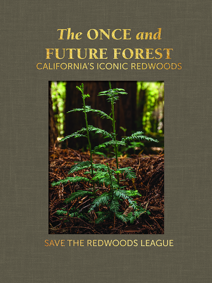The Story of The Ancient Ones | Save the Redwoods League
