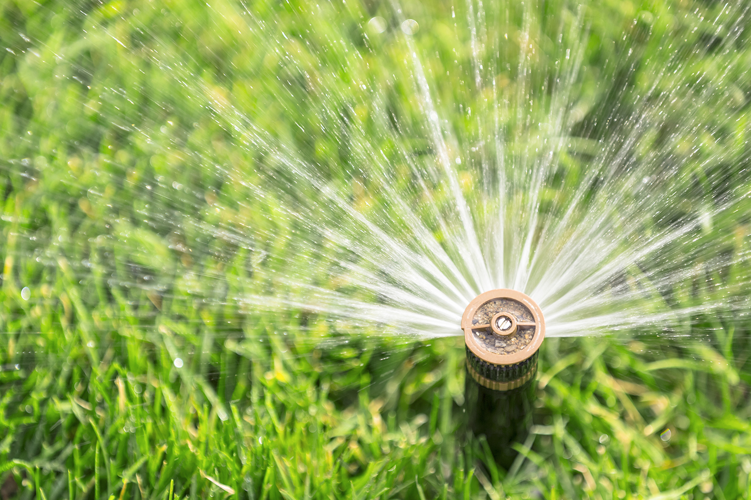 We’re still in drought — and Stage 3 watering rules - San Antonio Water System