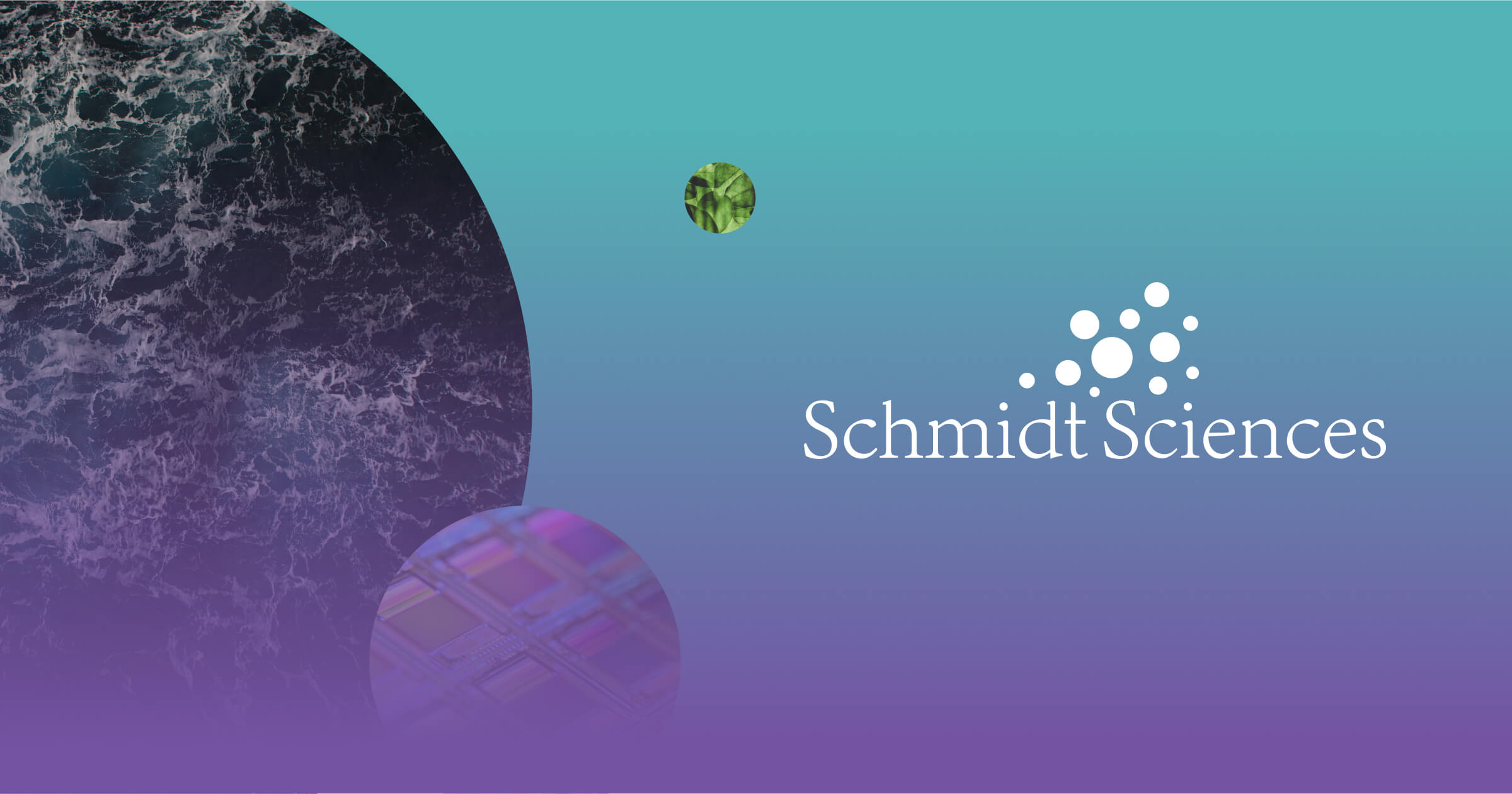 Schmidt Sciences awards over $3 million to study AI’s impact on jobs - Schmidt Sciences