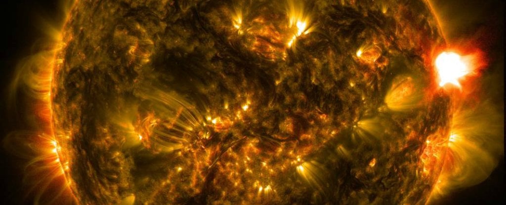 Tree Rings Suggest an Unexpected Solar Event Occurred 7,000 Years Ago : ScienceAlert