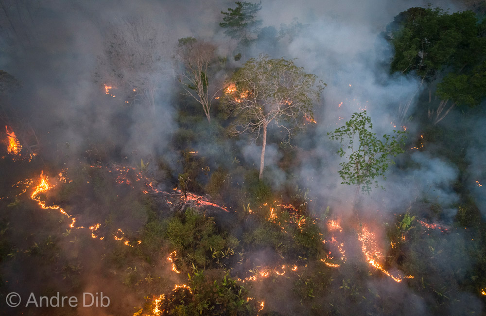 Amazonasgebiet könnte Kipppunkt schon 2050 erreichen - Klimawandel und Abholzung setzen dem Regenwald stärker zu als gedacht - scinexx.de