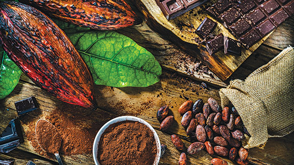 Not-so-sweet spots: Diagnosing cocoa supply chain woes using FMEA - Supply Chain Management Review