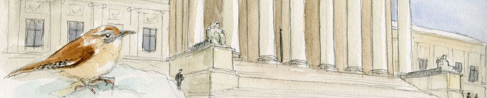 Missouri Solicitor General Josh Divine on government influence on social media - SCOTUSblog