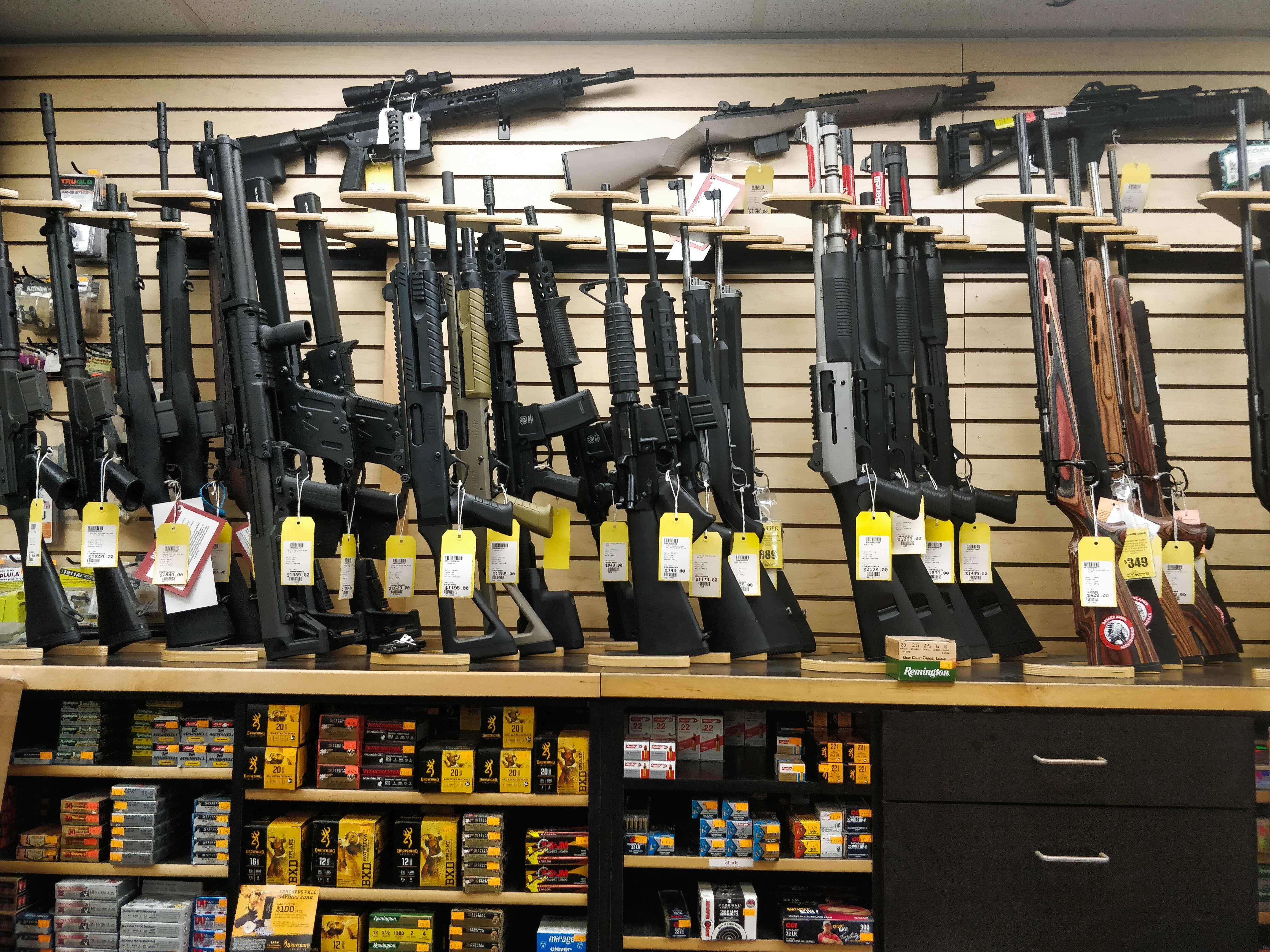 The Second Amendment landscape - SCOTUSblog