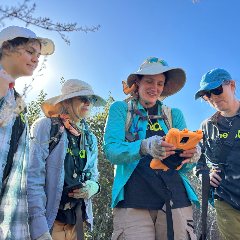 Why Fieldwork is at the Heart of our Scientific Research