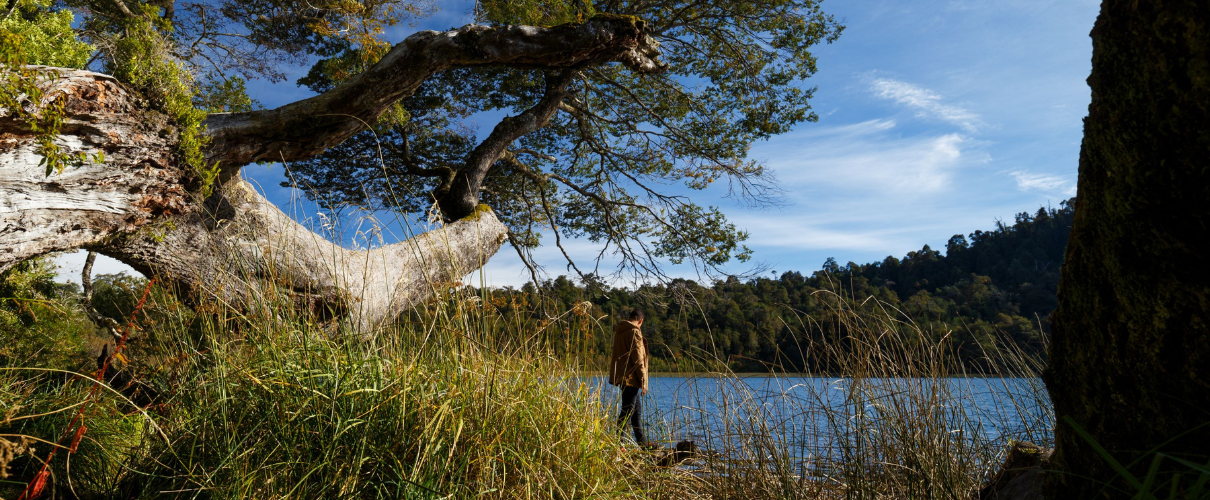 Puyehue se prepara para ser la sede del Remote Latin America 2024 - Sernatur