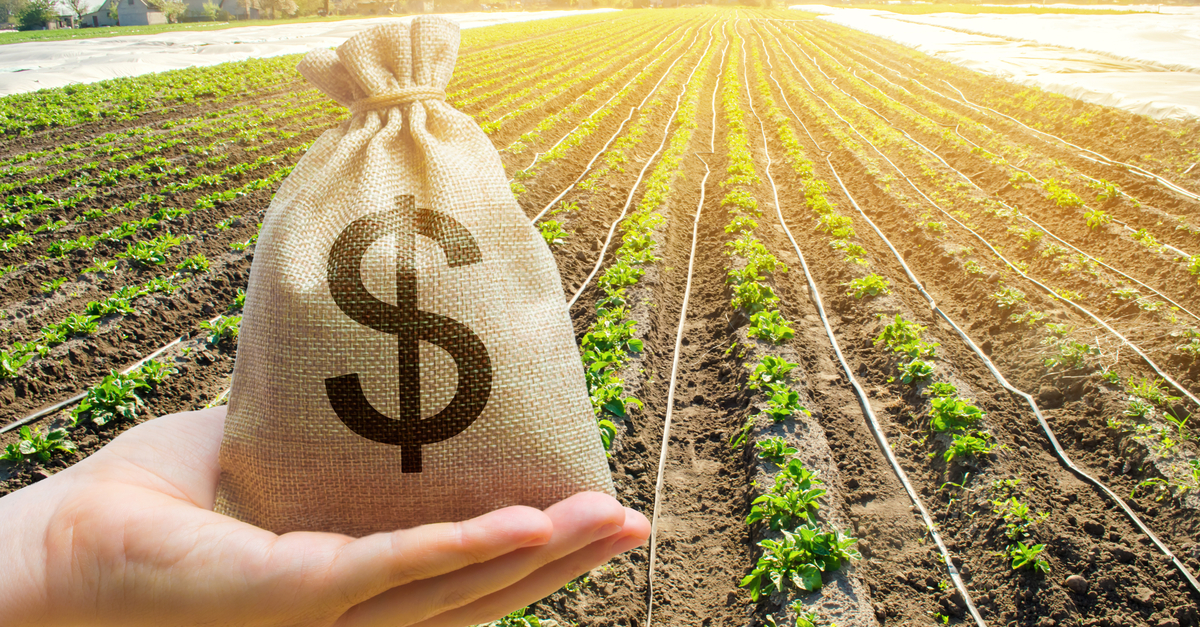 Fiagro: fique por dentro da nova forma de ganhar dinheiro investindo no agronegócio - Seu Dinheiro