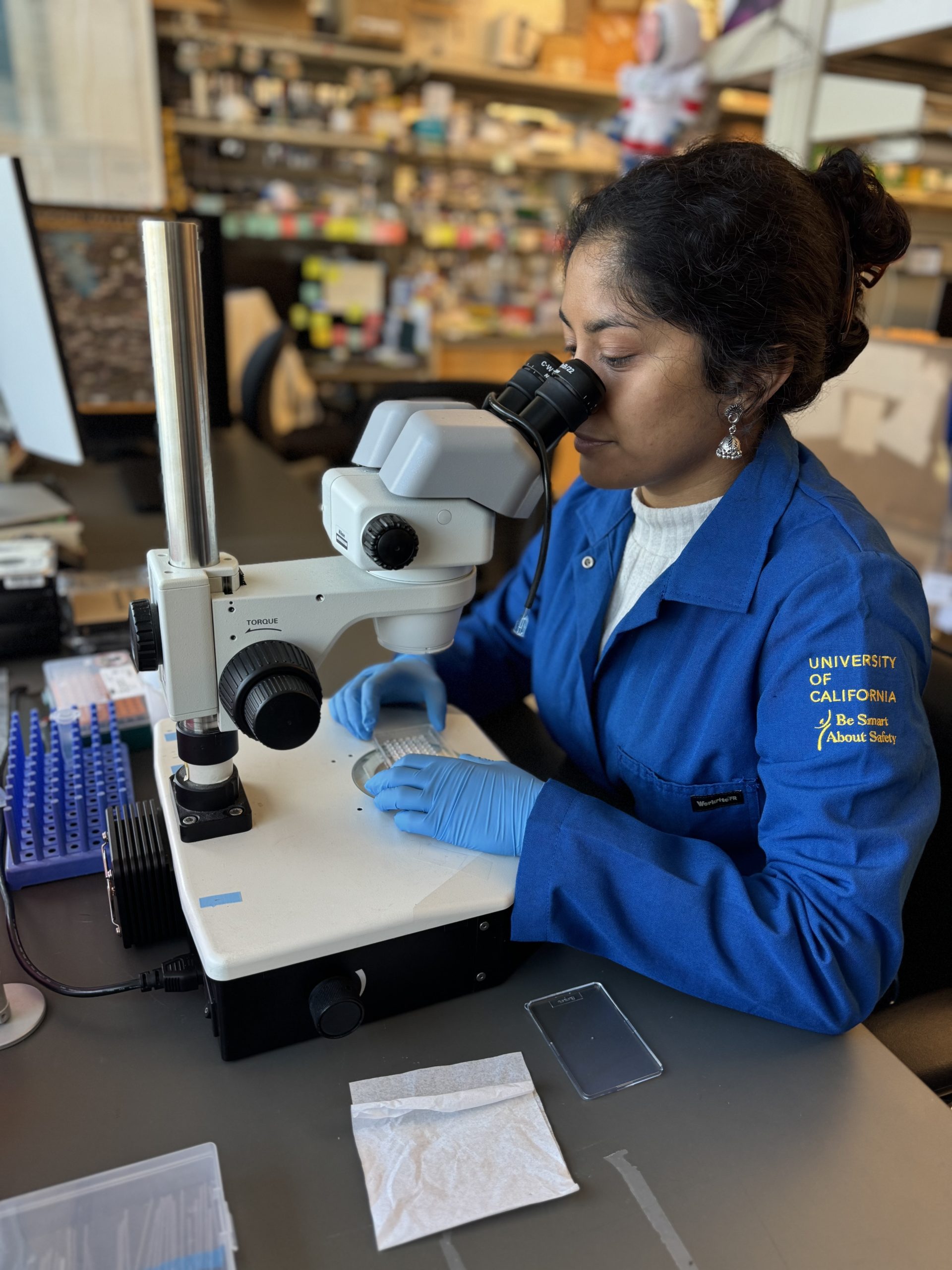 Effects of Research Funding Cuts Ripple Through San Francisco Labs, Clinics and Lives - San Francisco Public Press