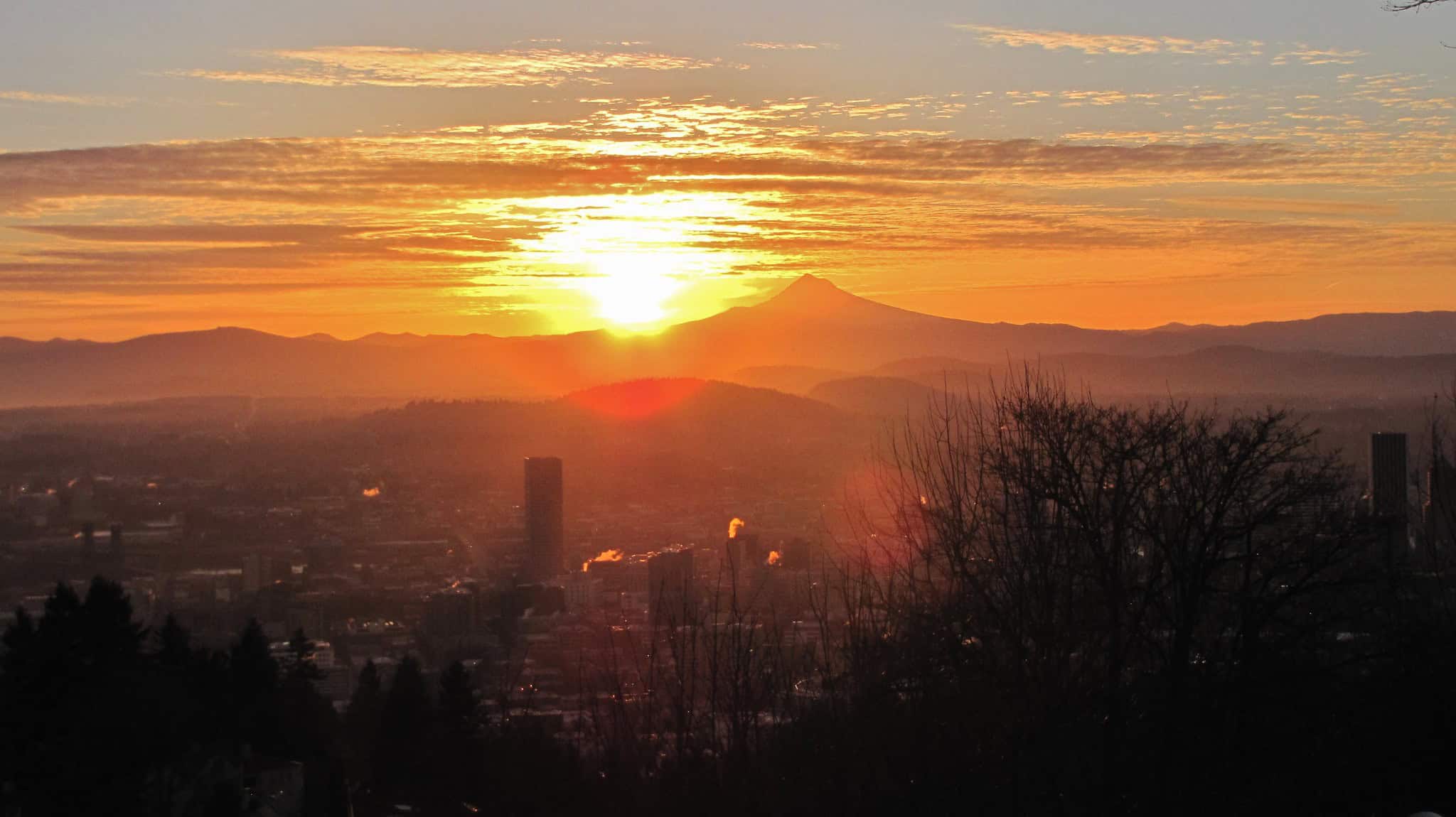 Portland Election Delivers City's Most Representative Council Ever | Sightline Institute