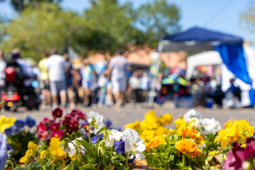 Things To Do This Weekend in Staten Island