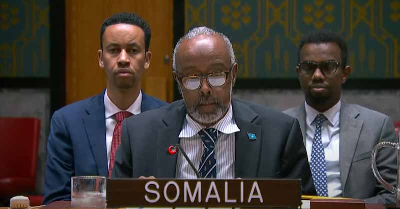 US confirms Somalia’s UN ambassador linked to healthcare company convicted of Medicaid fraud | Somali Guardian