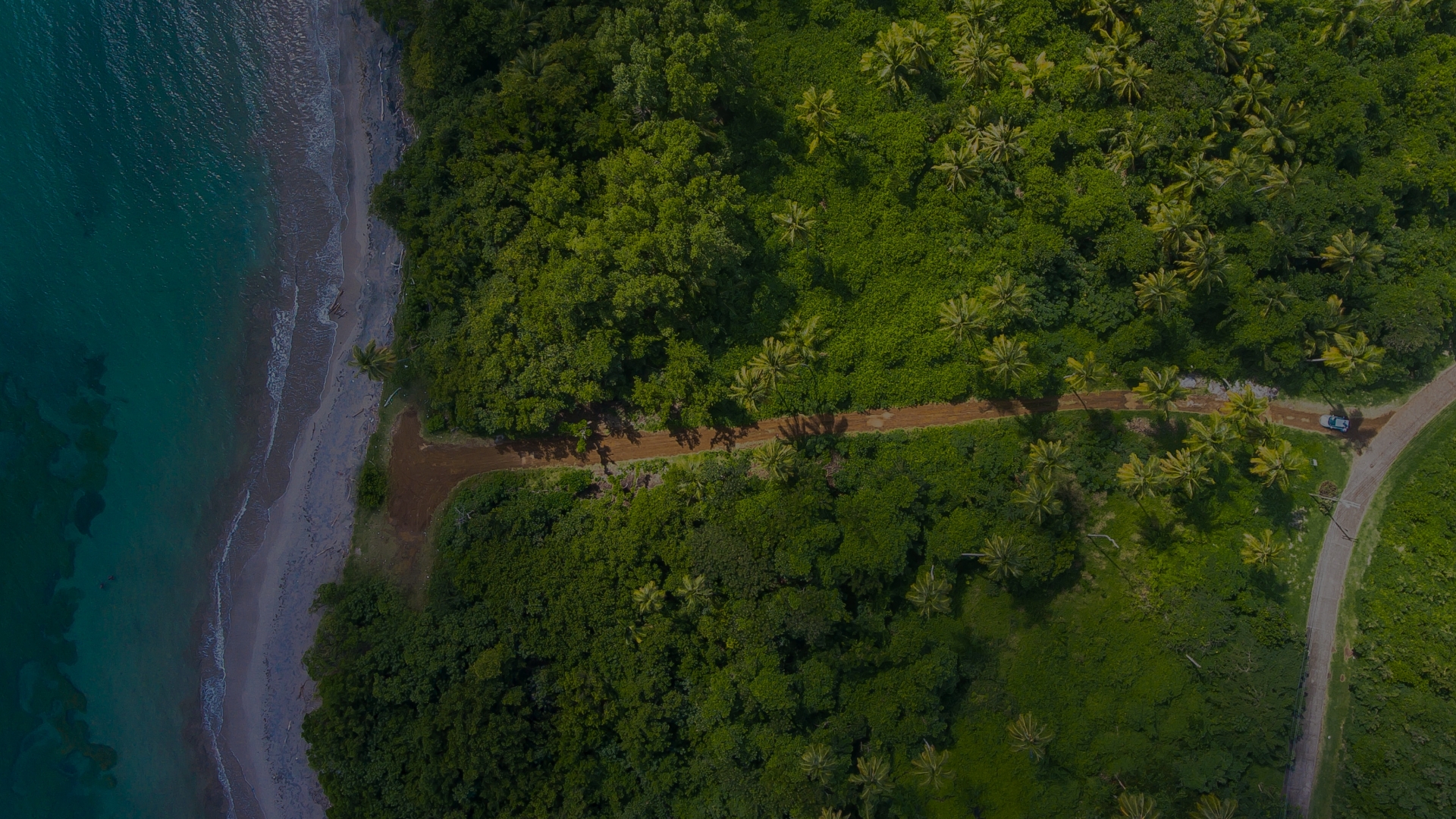 Buy low, sell high: What they don’t tell you about carbon offsets – SourceMaterial